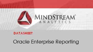 Oracle Enterprise Reporting Datasheet
