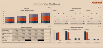 MindStreamAnalytics Oracle NetSuite Corporate Outlook
