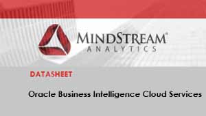 Hoja de datos de los servicios en la nube de Oracle Business Intelligence