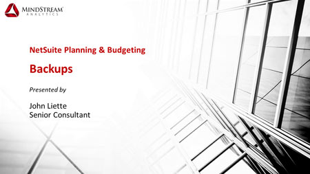 Copias de seguridad de planificación y presupuesto de NetSuite