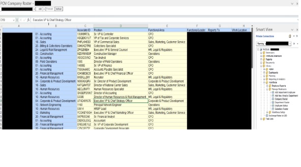 NetSuite Workforce POV Company Roster