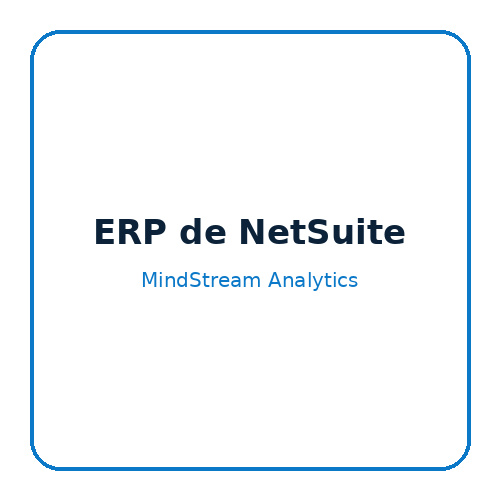 ERP de NetSuite