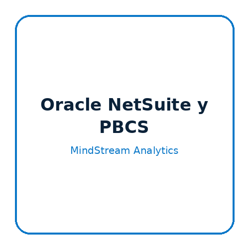 Oracle NetSuite y PBCS