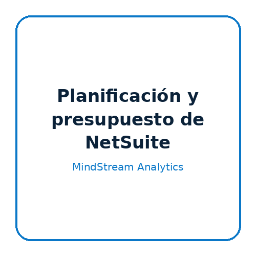 Planificación y presupuestación de NetSuite