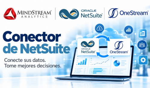 Conector de NetSuite Conector de NetSuite para OneStream
