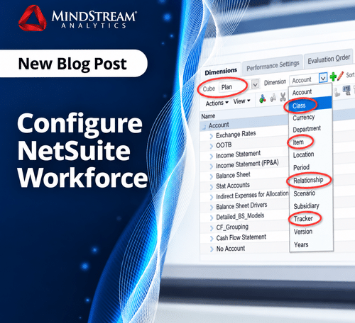 NetSuite Workforce configuration guide for dimensions and employee planning