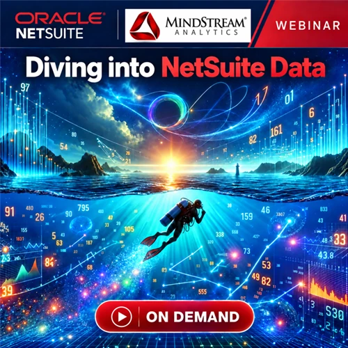 Diving into NetSuite Data