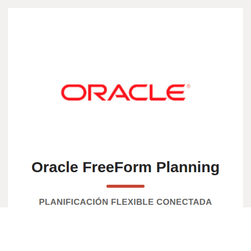 Oracle FreeForm Planning flexible